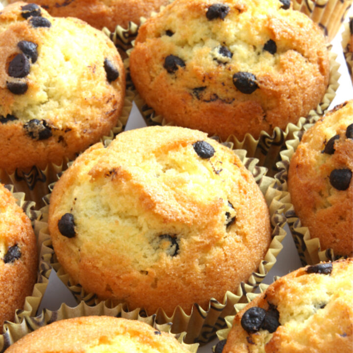 Low carb chocolate chip muffins