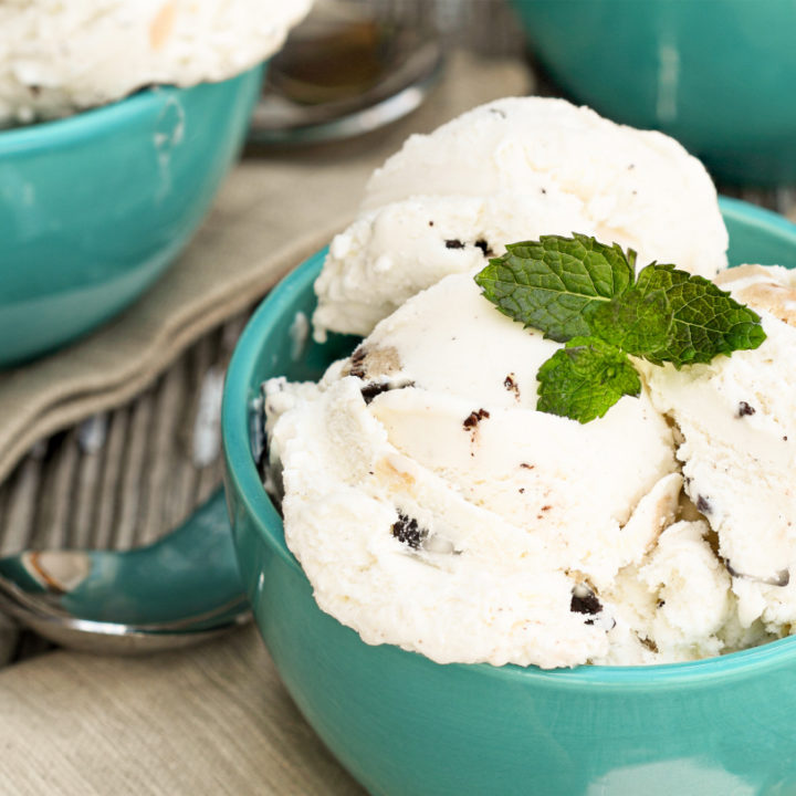 keto-friendly chocolate chip ice cream served in teal bowls with a sprig of mint for garnish