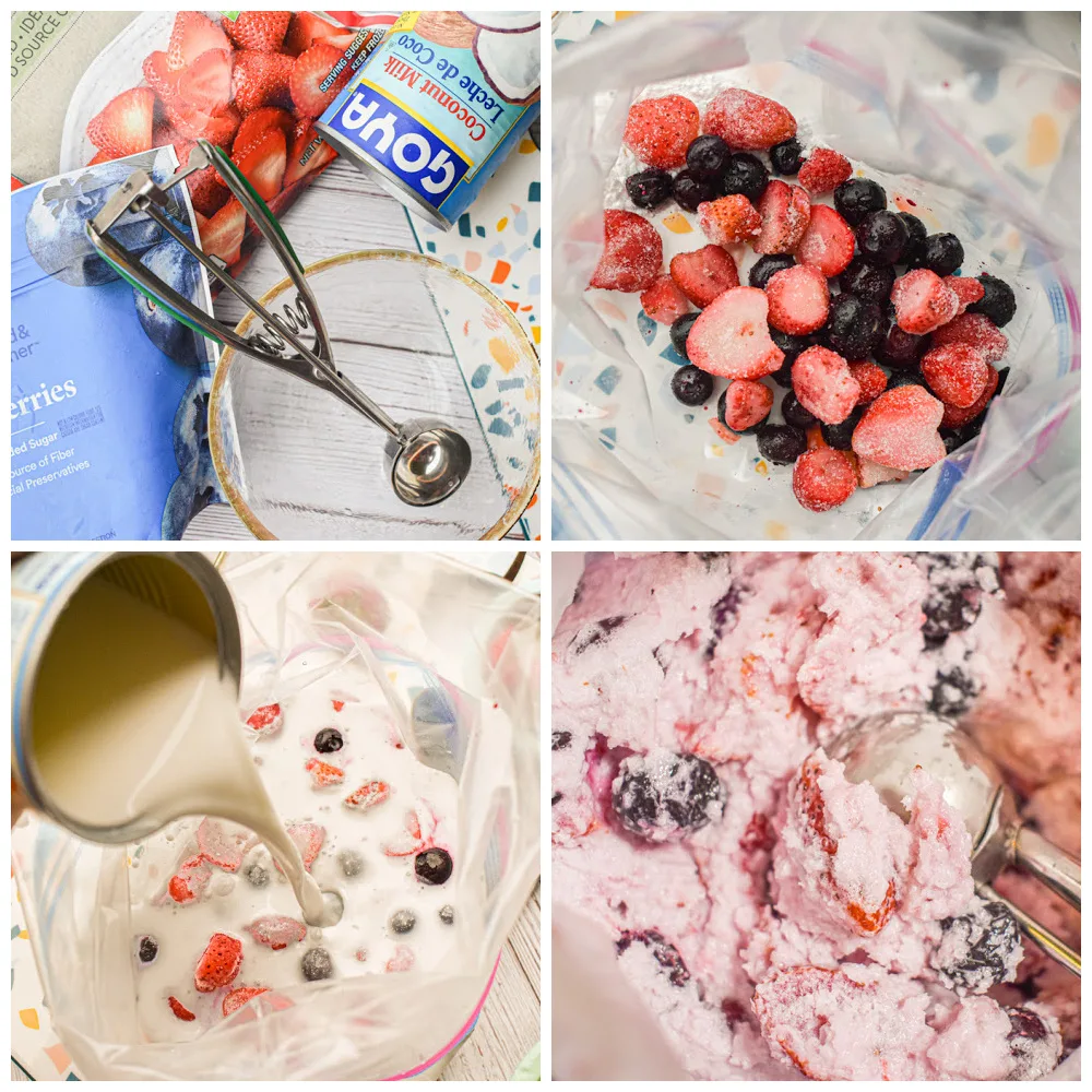 keto berry 5 minute ice cream process pictures