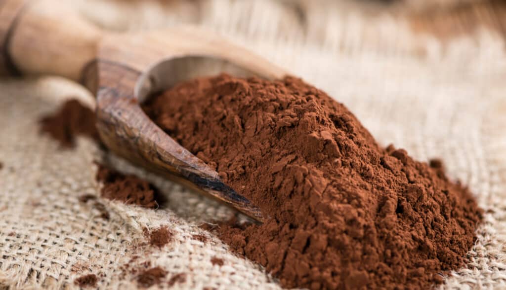 cocoa powder