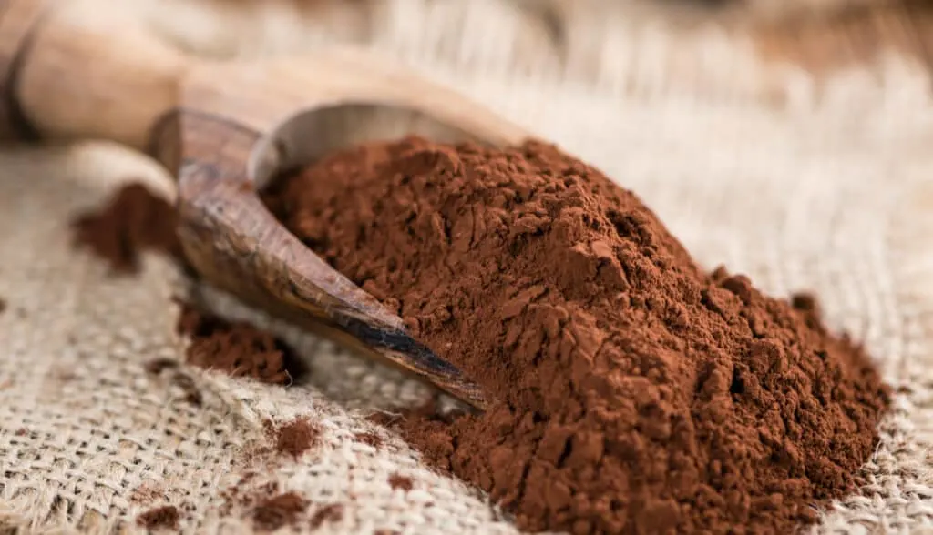 cocoa powder