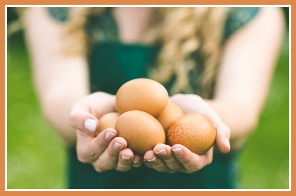 brown eggs being held by a girl