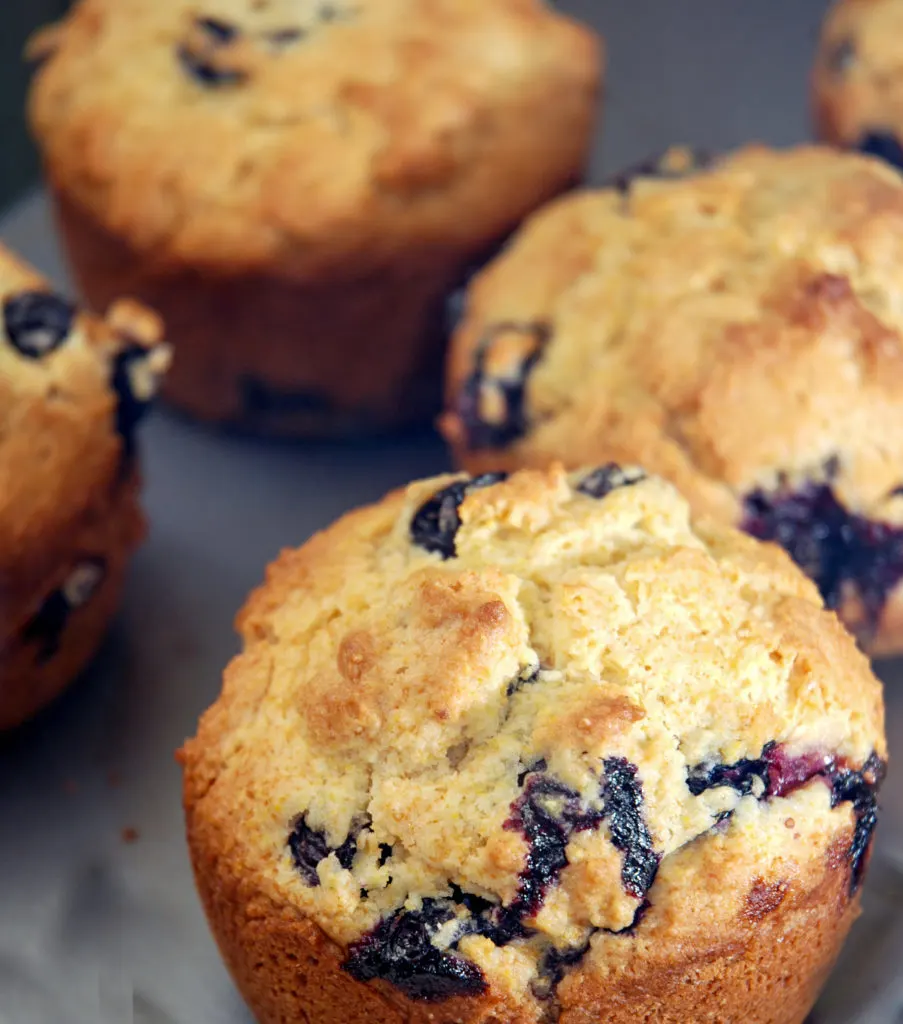 ow carb blueberry muffins