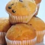 low carb chocolate chip muffins