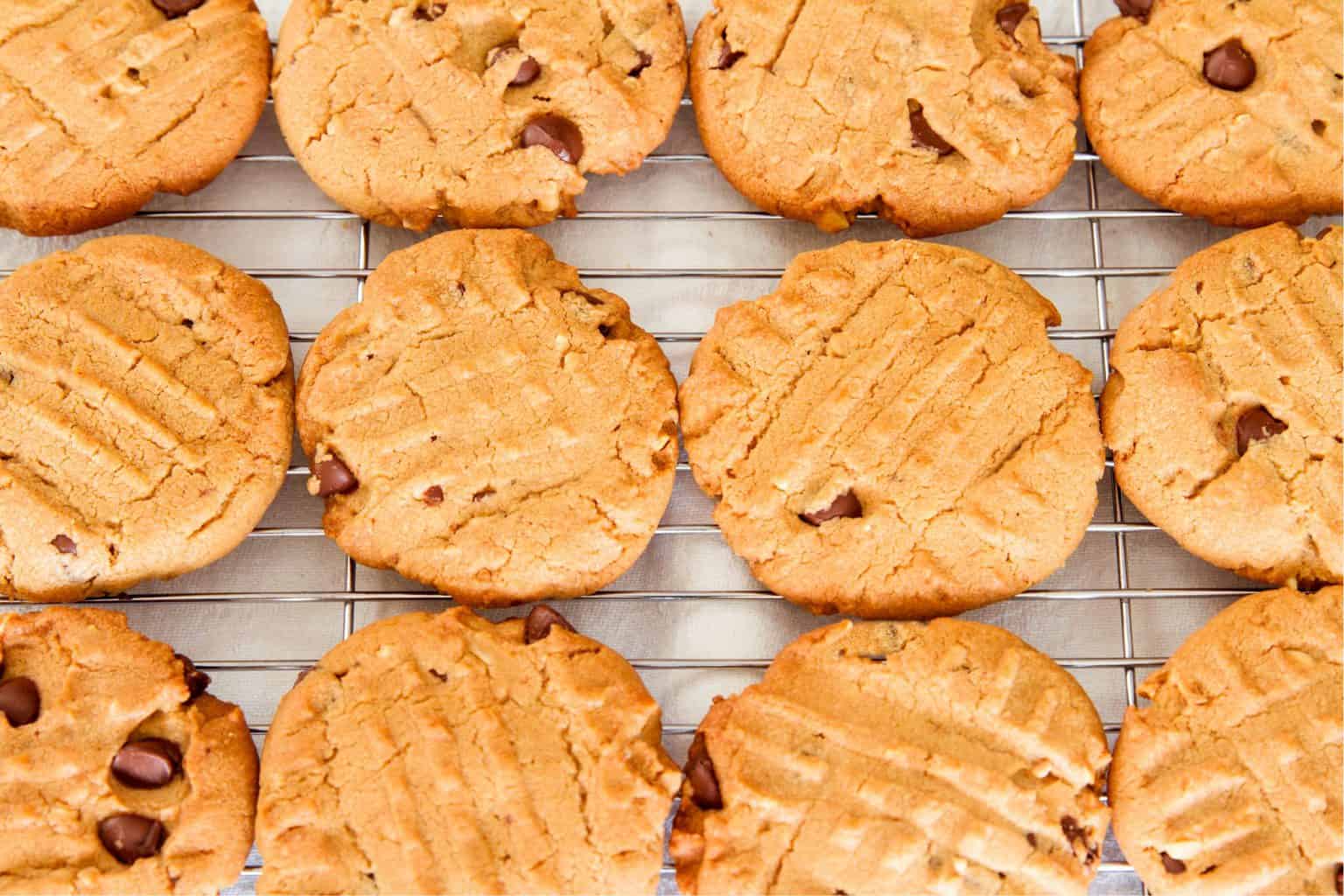 Keto Peanut Butter Chocolate Chip Cookies · Fittoserve Group