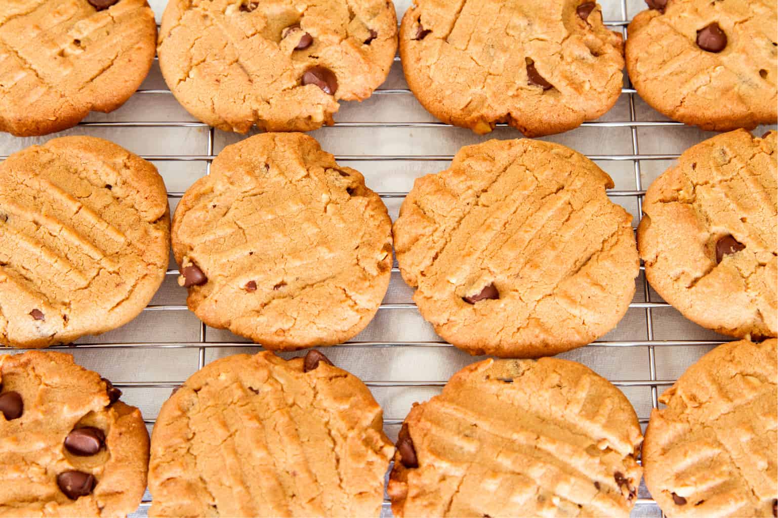 keto peanut butter chocolate chip cookies cooling on a baking rack