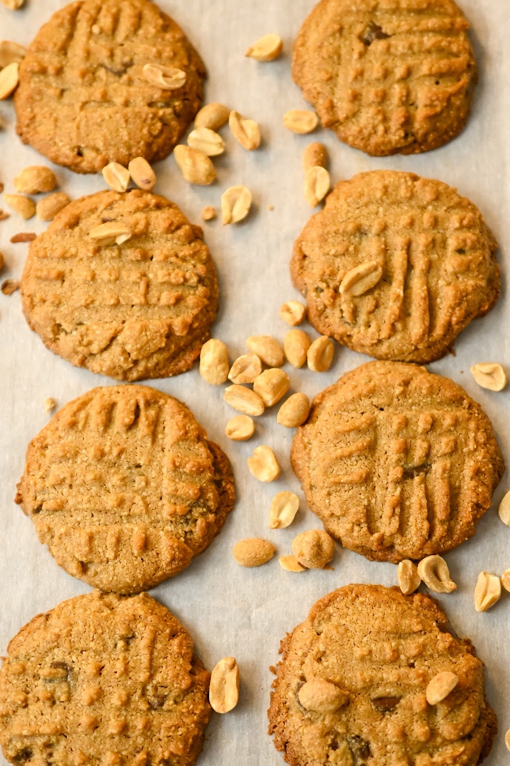 keto-friendly peanut butter chocolate chip cookies baked on a parchment lined cookie sheet
