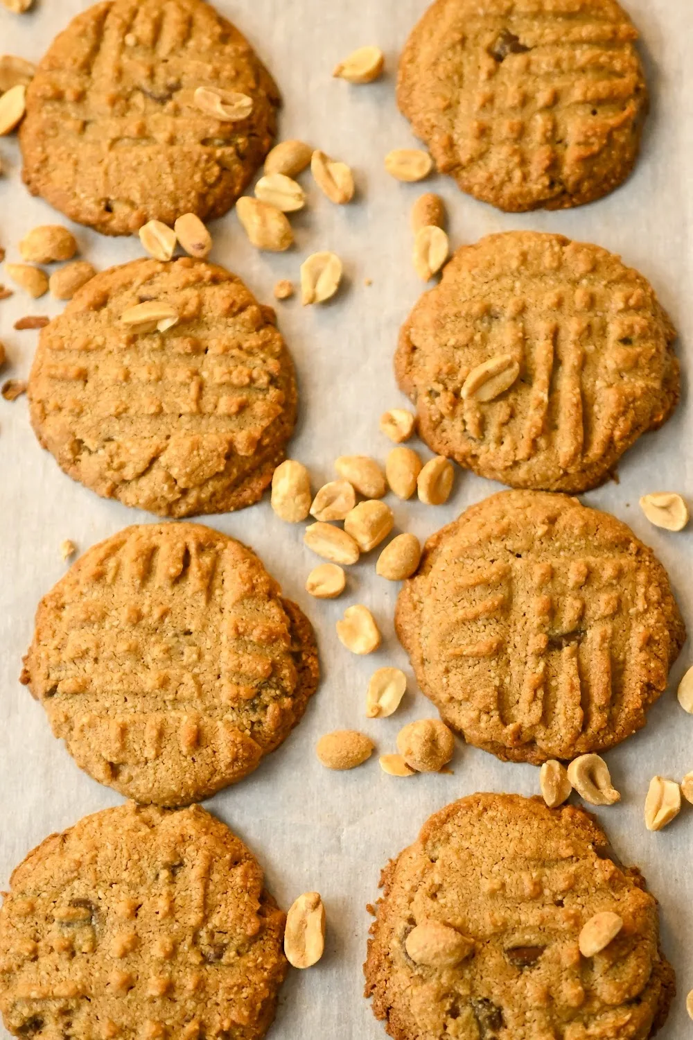 keto-friendly peanut butter chocolate chip cookies baked on a parchment lined cookie sheet