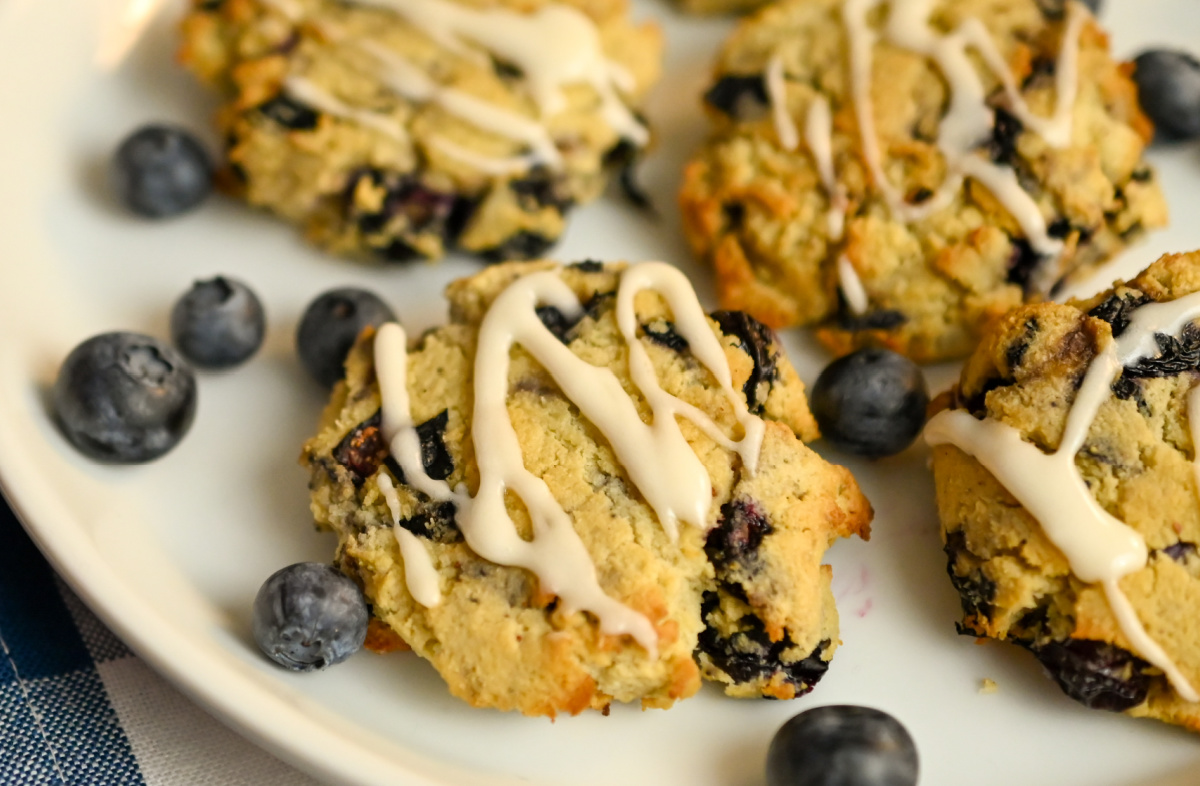 Keto Blueberry Cookies · Fittoserve Group