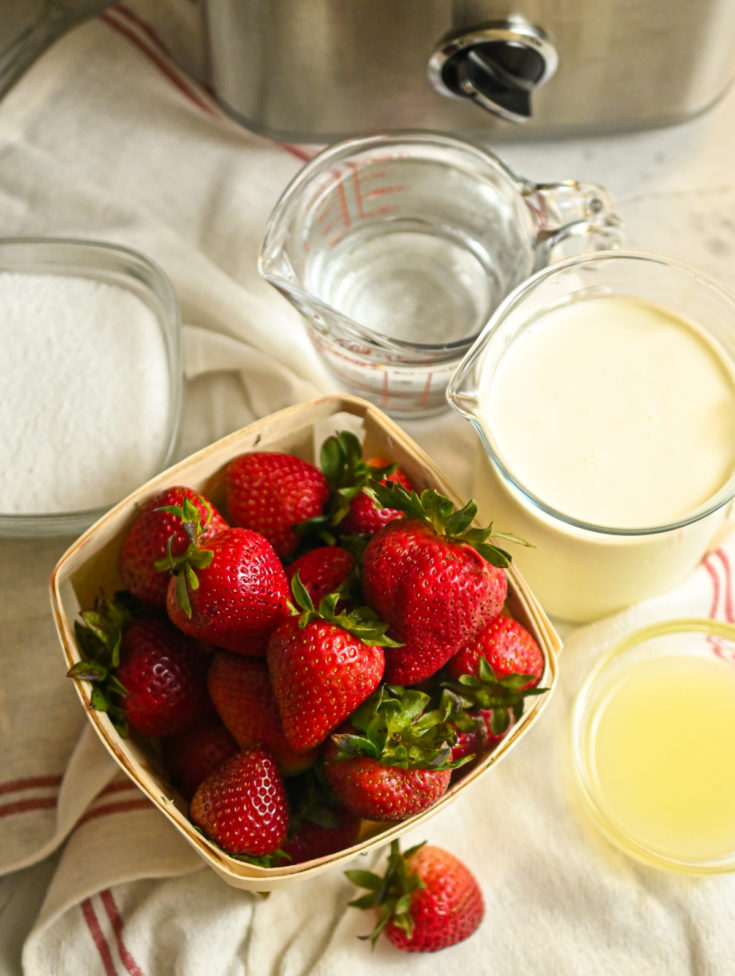 Keto Strawberry Ice Cream Ingredients