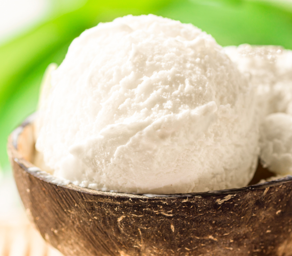 Keto Coconut Ice Cream (DairyFree) · Fittoserve Group