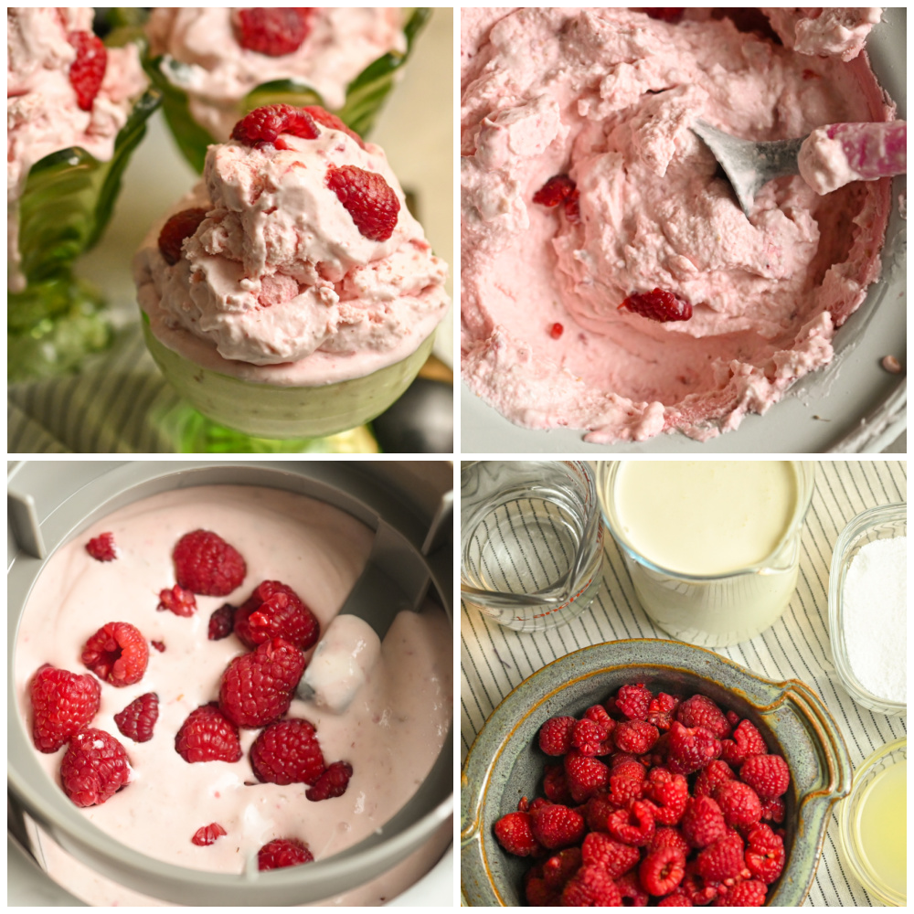 Keto Raspberry Ice Cream Recipe · Fittoserve Group