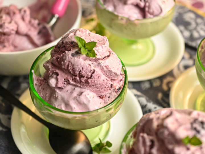 Keto Blueberry Ice Cream Recipe · Fittoserve Group