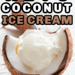 Keto coconut milk ice cream served in a coconut half