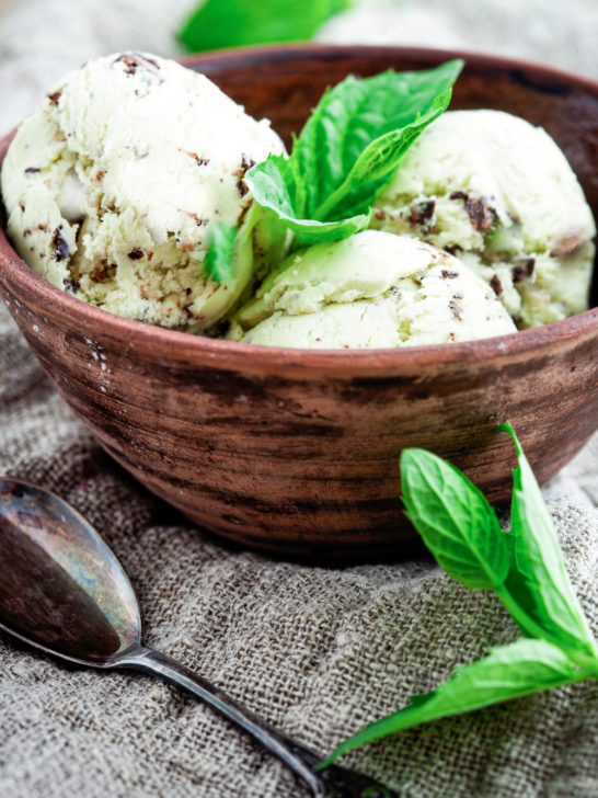 homemade keto-friendly chocolate chip mint ice cream