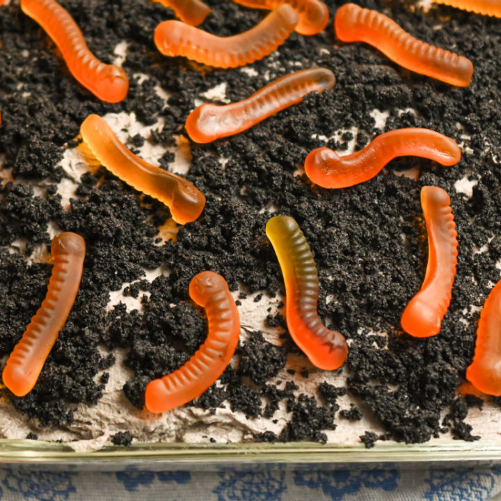 keto Oreo dirt cake in rectangle glass container with sugar-free worms on top