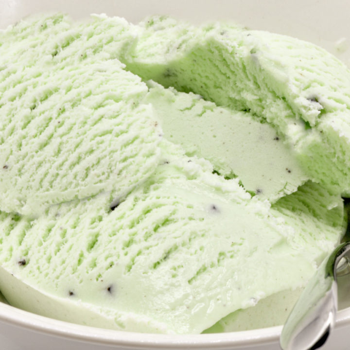 low carb chocolate chip mint ice cream served in a white dish