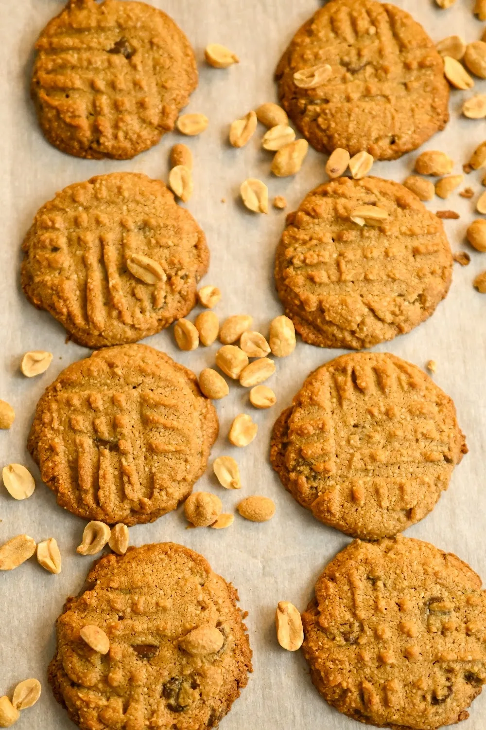 Keto peanut butter chocolate chip cookies baked on a parchment lined cookie sheet with peanuts scattered on top