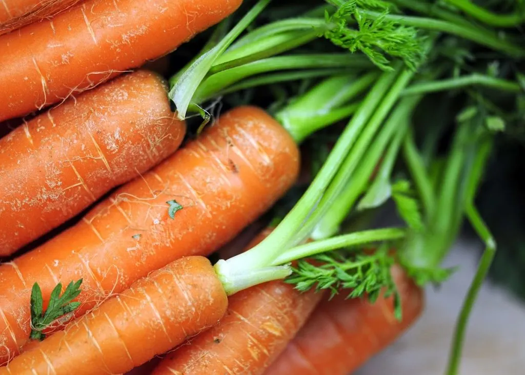 close up image of carrots