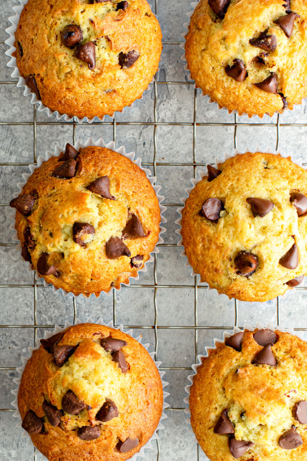 Keto Chocolate Chip Muffins · Fittoserve Group