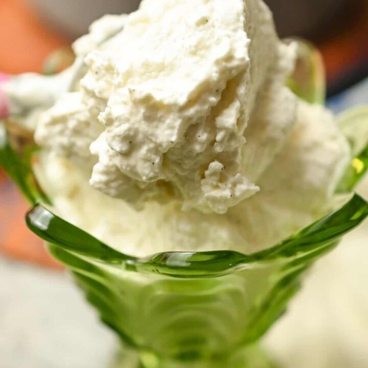 carnivore ice cream served in a vintage dessert dish