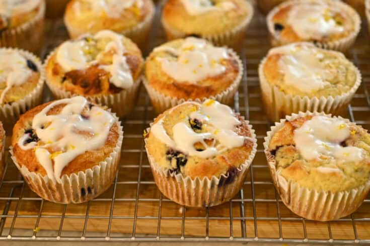keto coconut flour blueberry muffins recipe card image