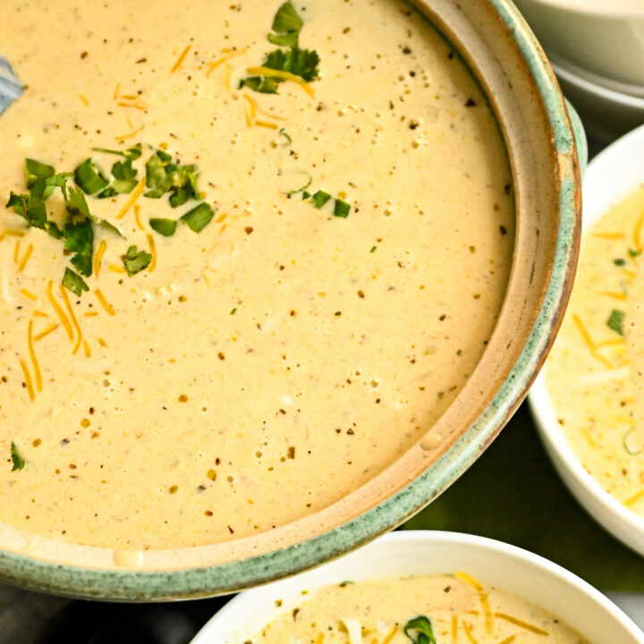 carnivore cream chicken soup featured image