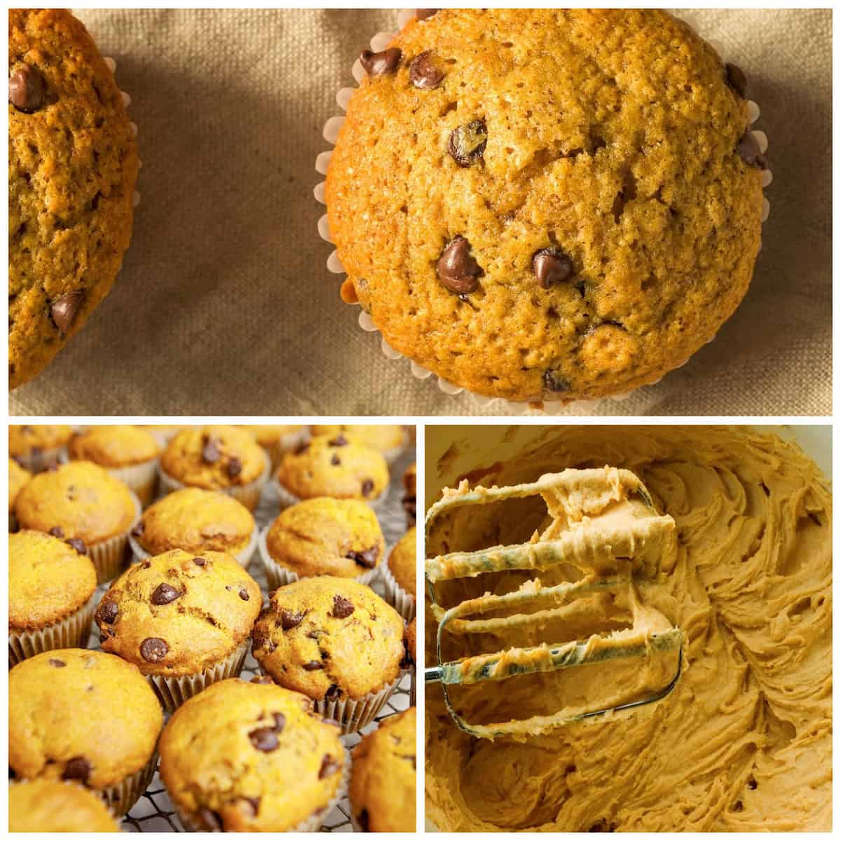 Keto Pumpkin Chocolate Chip Muffins Process Pictures