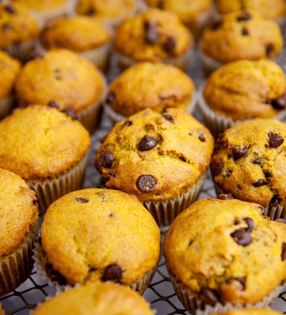 easy keto pumpkin chocolate chip muffins