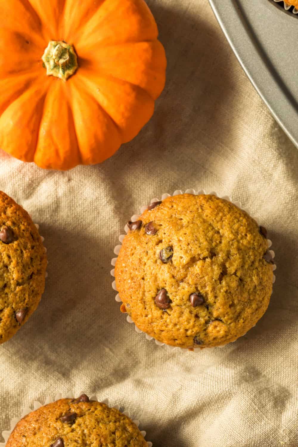 keto-friendly pumpkin chocolate chip muffins